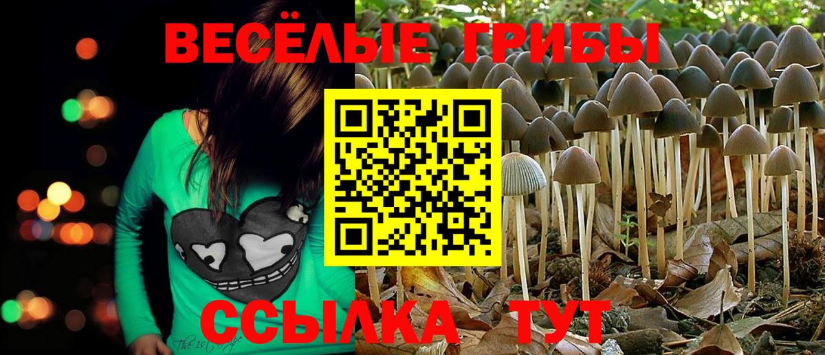 Псилоцибиновые грибы ЛСД Курчатов
