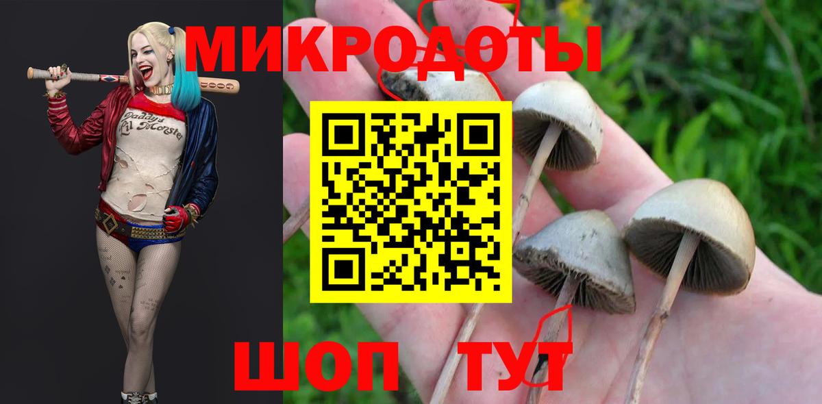 Курчатов  наркотики  Вход с VPN  Галлюциногенные грибы GOLDEN TEACHER 